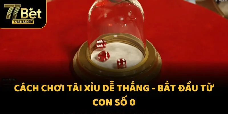 Cách chơi tài xỉu dễ thắng - Bắt đầu từ con số 0