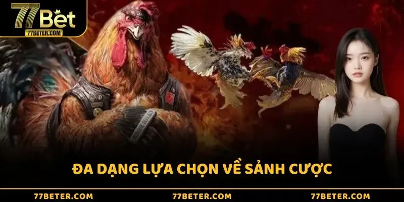 Đa dạng lựa chọn về sảnh cược