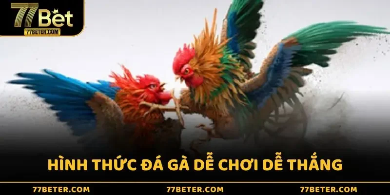 Hình thức đá gà dễ chơi dễ thắng