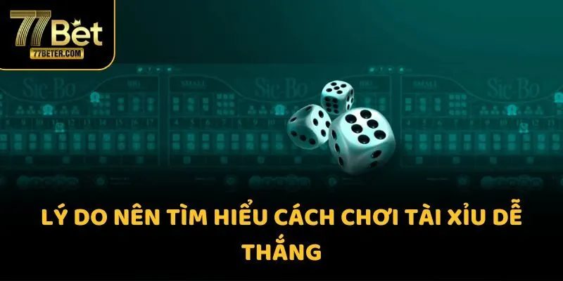 Lý do nên tìm hiểu cách chơi tài xỉu dễ thắng