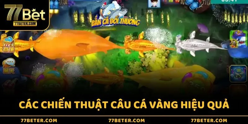 Tổng hợp các chiến thuật chơi câu cá vàng bách thắng